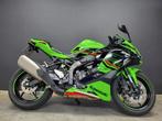 Kawasaki ZX-4RR (année de construction 2024), Entreprise, Plus de 35 kW, 400 cm³, Autre