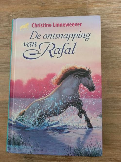Christine Linneweever - De ontsnapping van Rafal, Boeken, Kinderboeken | Jeugd | 10 tot 12 jaar, Zo goed als nieuw, Ophalen of Verzenden