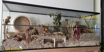 Maatwerk Terrarium voor Knaagdieren – Inclusief Schuifruiten beschikbaar voor biedingen
