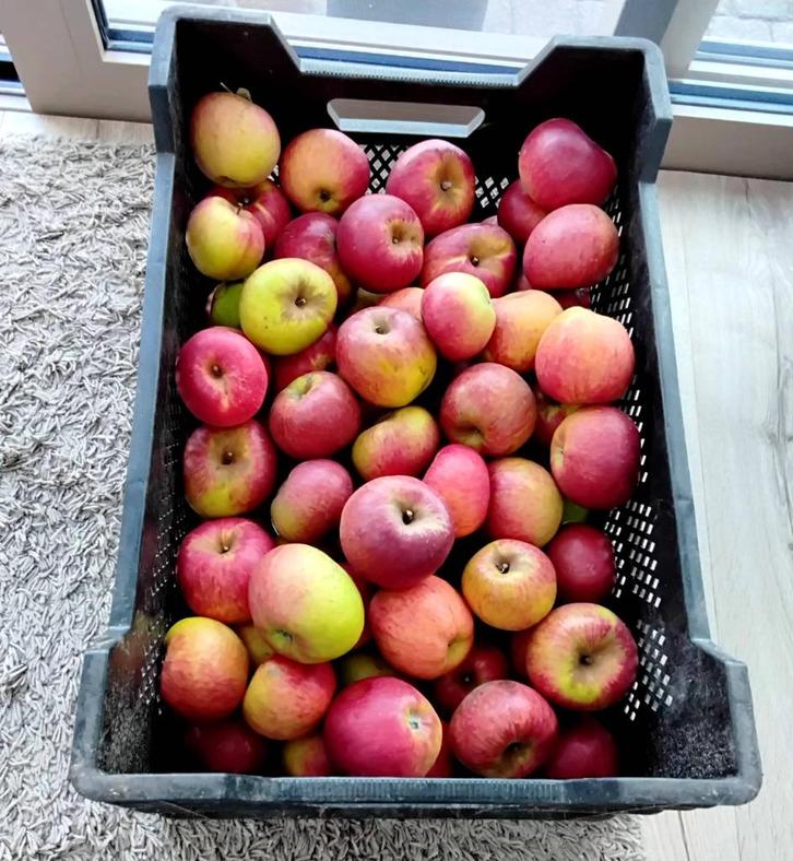Appels te koop, Diversen, Levensmiddelen, Ophalen