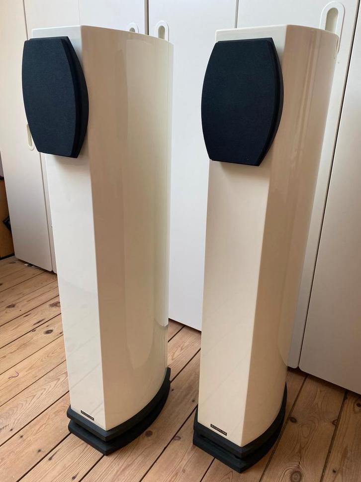 Audium Comp 7, Audio, Tv en Foto, Luidsprekerboxen, Gebruikt, Front, Rear of Stereo speakers, 120 watt of meer, Overige merken