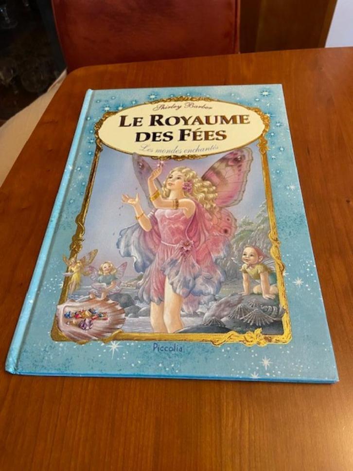Livre Le royaume des fées de Shirley Barber., Livres, Livres pour enfants | 4 ans et plus, Comme neuf, Contes (de fées), Enlèvement ou Envoi