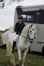 Allround ruin 14 jaar Cruzado, Ruin