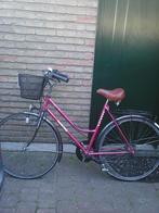 damesfiets batavus 28 inch met mandje, Ophalen, 53 tot 56 cm, Batavus, Mandje