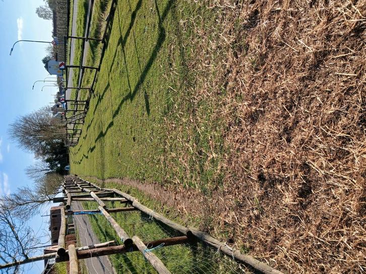 Twee weides afgespannen en schuilstal, Immo, Gronden en Bouwgronden, 1500 m² of meer, Verkoop zonder makelaar