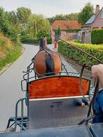 Koetspaard, Dieren en Toebehoren, Paarden, Ruin