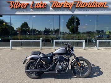 Harley-Davidson Sportster XL 883 Iron 35Kw met 12 maanden wa beschikbaar voor biedingen