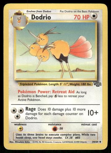 Dodrio 34/64 - Jungle beschikbaar voor biedingen