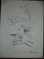 Yves Duchêne 1976 lithographie signée nature morte, jardin, Enlèvement ou Envoi