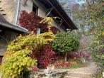 Dorpshuis tussen Lyon en Genève, Immo, 120 m², France, Dorp, Frankrijk