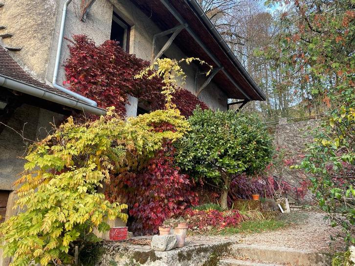 Maison de village entre Lyon et Genève, Immo, Étranger, France, Maison d'habitation, Village