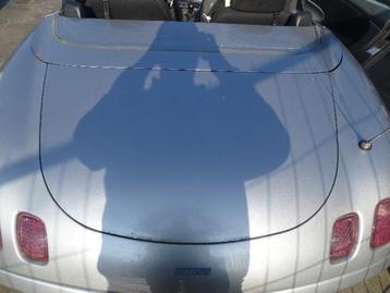 Achterklep van een Fiat Barchetta beschikbaar voor biedingen