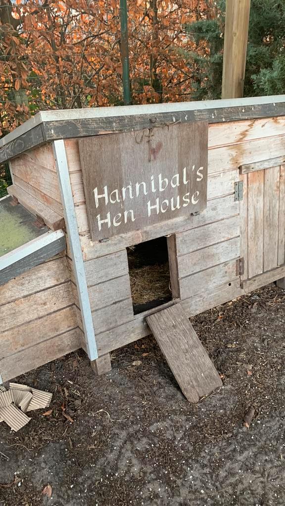 Kippenhok met leghokje, Dieren en Toebehoren, Pluimvee | Toebehoren, Gebruikt, Kippenhok of Kippenren, Ophalen