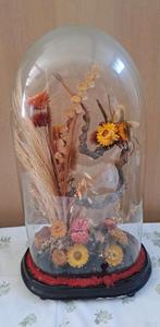Ovalen Stolp met droogbloemen, Ophalen, Gebruikt