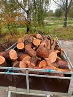 Brandhout, grove Den, Tuin en Terras, Brandhout, Ophalen
