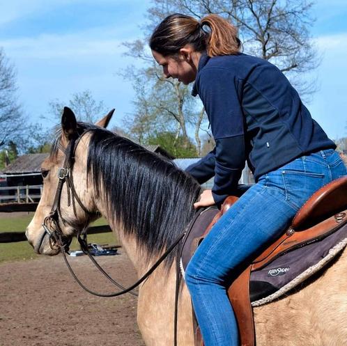 Zadelmak maken /training/lessen, Animaux & Accessoires, Chevaux