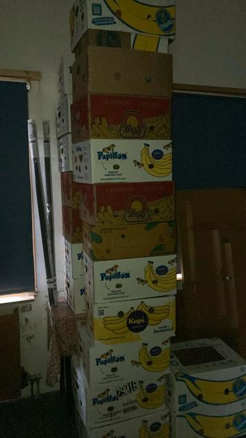 Bananendozen 45 stuks perfecte conditie beschikbaar voor biedingen