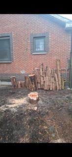 Grote partij taxushout, Tuin en Terras, Ophalen, Nieuw