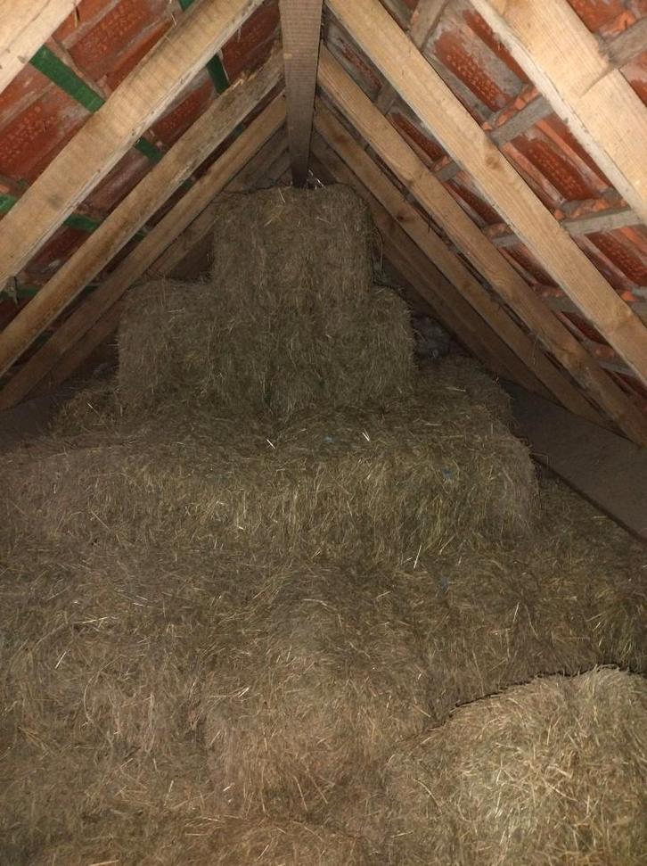 hooi, Dieren en Toebehoren, Paarden en Pony's | Overige Paardenspullen, Ophalen of Verzenden