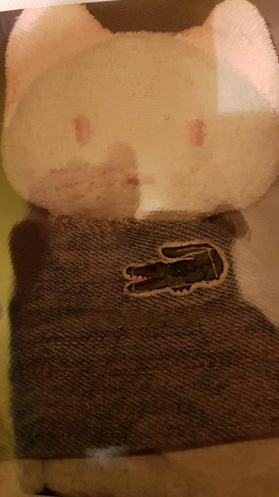 !GEZOCHT! - poesje teddybeer, Kinderen en Baby's, Speelgoed | Knuffels en Pluche, Zo goed als nieuw, Poes, Ophalen of Verzenden