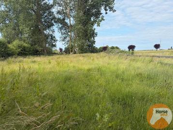 Grond te koop in Grimbergen beschikbaar voor biedingen