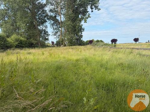 Grond te koop in Grimbergen, Immo, Gronden en Bouwgronden, 1500 m² of meer