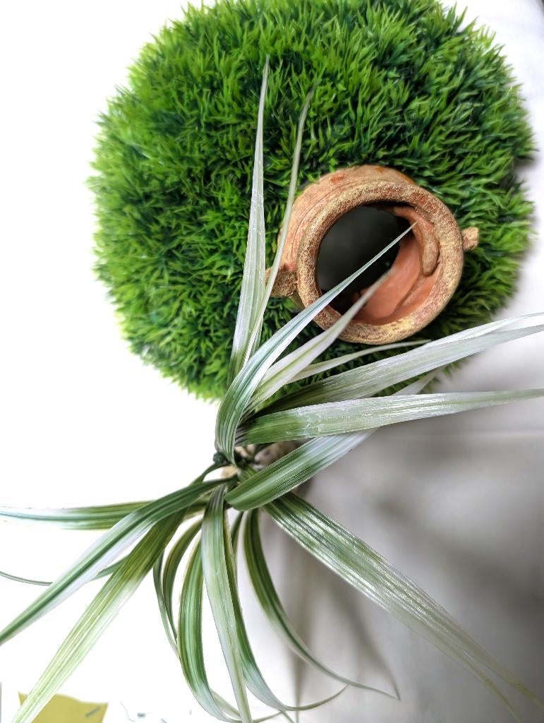 accessoires aquarium, Enlèvement, Utilisé