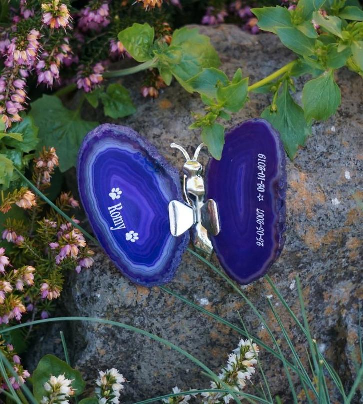 Vlinder van Agaat – Uniek & Persoonlijk, Animaux & Accessoires, Accessoires pour chiens, Neuf, Enlèvement ou Envoi