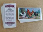 Poultry complete set 25 chromos pluimvee kippen REPRO 1997, Ophalen of Verzenden, 1980 tot heden, Dier