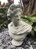 Buste , sculptuur van Apollo, Antiek en Kunst, Kunst | Beelden en Houtsnijwerken, Ophalen of Verzenden