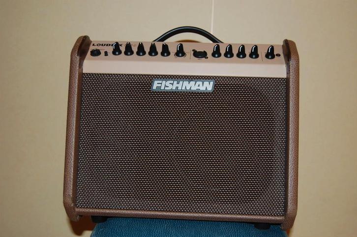 Fishman Loudbox Mini versterker zonder Bluetooth, Musique & Instruments, Amplis | Basse & Guitare, Utilisé, Guitare, 50 à 100 watts