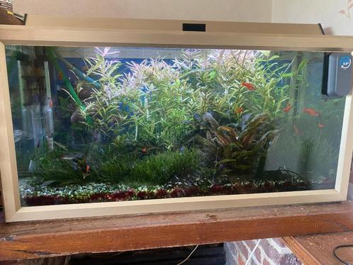 Aquarium 100L alle toebehoren, Dieren en Toebehoren, Vissen | Aquaria en Toebehoren, Gebruikt, Gevuld zoetwateraquarium, Ophalen