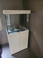 Juwel Lido 200 wit, Dieren en Toebehoren, Ophalen, Gebruikt, Leeg aquarium