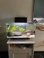 Fluval edge aquarium, Ophalen, Gebruikt, Leeg aquarium