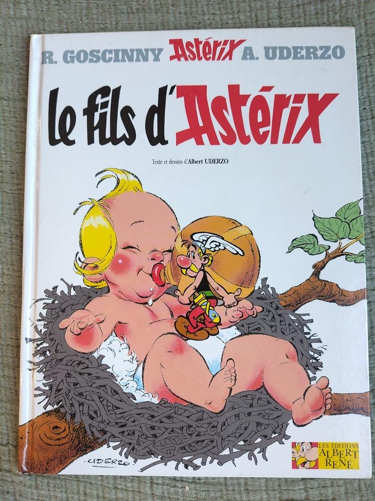 Le fils d'Astérix, Livres, BD, Enlèvement ou Envoi