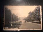 Mons carte postale avenue, Collections