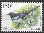 Belgie 1997 - Yvert 2696 /OBP 2697 - Buzin - Ekster (PF), Verzenden, Postfris, Postfris, Voertuigen