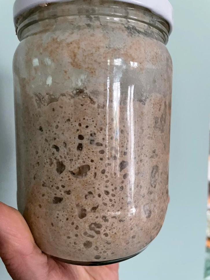 Sourdough starter, Diversen, Overige Diversen, Zo goed als nieuw, Ophalen