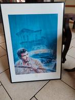 Prachtige omgeving: de zondvloed, Ophalen, Zo goed als nieuw