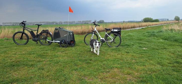 Croozer luxe hondenfietskar Medium - zo  goed als nieuw, Dieren en Toebehoren, Transportboxen, Zo goed als nieuw, Ophalen of Verzenden