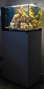 Aquarium, Dieren en Toebehoren, Ophalen, Zo goed als nieuw