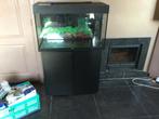 Aquarium ,JUWEL, Ophalen, Gebruikt, Leeg aquarium