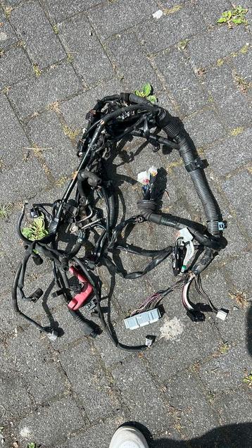 Kabelboom toyota celice t23 1800 beschikbaar voor biedingen