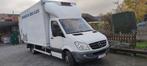 MERCEDES BENZ SPRINTER 516 CDI  KOELWAGEN, Te koop, Overige carrosserie, Automaat, 2143 cc