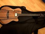 Godin Ultra A6, Muziek en Instrumenten, Ophalen, Zo goed als nieuw