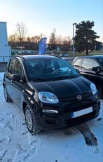 Fiat Panda 1.2 51kW 69ch essence, 5 places, 1242 cm³, Panda, Achat