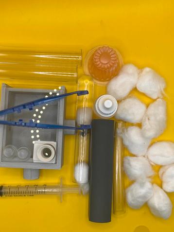 Starterset Camponotus Ligniperda startrrset beschikbaar voor biedingen