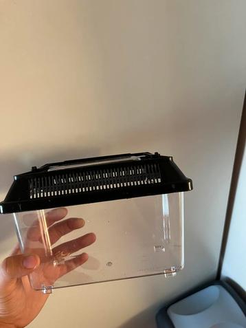 Reptiel / knaagdier transportbox beschikbaar voor biedingen
