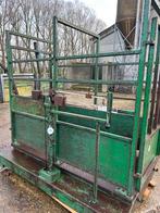 Vee bascuul, Dieren en Toebehoren