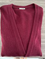 Lacoste vest, Overige kleuren, Maat 46/48 (XL) of groter, Ophalen of Verzenden, Zo goed als nieuw